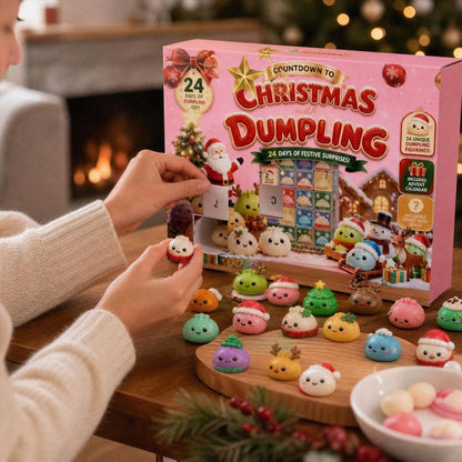 Squishy Advent Calendar 2026, 24 Days Christmas Dumpling Advent Calendar with Cute Mini Dumpling Figurines, Holiday Countdown Surprise Gift Box for Kids Adults